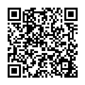 也是立即与其他三个年轻人进行了一个简单的眼神的交流二维码生成