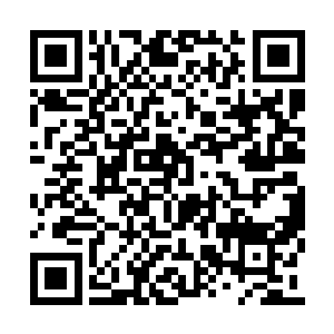 也是立即向着吞火巨蜥的身躯狠狠地拍了下去的二维码生成