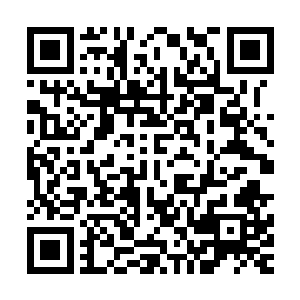 也是立即命令旁边侍立的精英蛇鬼立即将这两颗祭品送了上来二维码生成