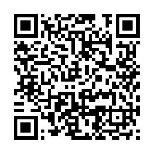 也是第一时间的就把消息传递给了老爷子和老太太二维码生成