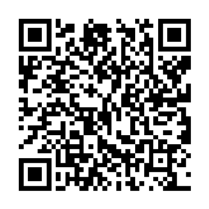 也是第一时间祭出了血魂幡朝着星云身上攻击过去二维码生成