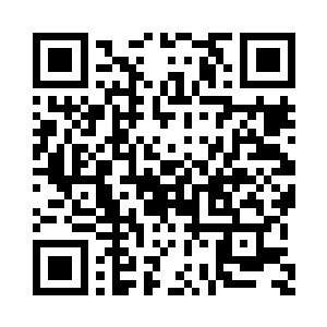 也是第一次见灵宠追杀自家主人的二维码生成