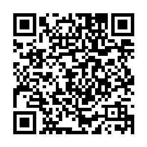 也是纷纷将目光放在了星月界内的那些强大凶兽上二维码生成