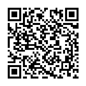 也是给珍妮弗带来了一些物极必反型的逆反型anti二维码生成