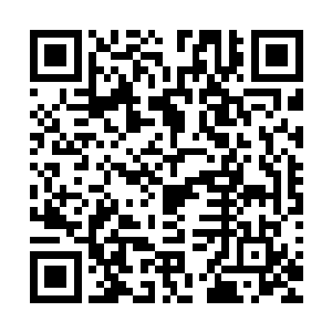 也是综合了保姆拿过来的材料仔细的给两个小家伙解释了一番二维码生成