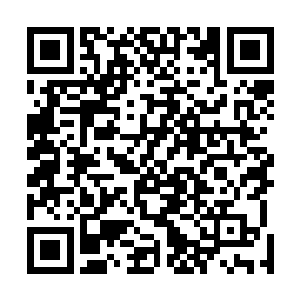 也是自己和她可以一起相携着走过这风险无限的后宫之路二维码生成