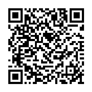 也是萝城众多年轻男子心目中的女神一般的存在二维码生成