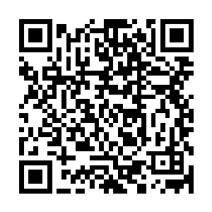 也是蓝家长辈做出来的蓝老爷子那个时候也是听从家族的决定二维码生成