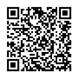 也是血色荒原等地让很多次级位面的强者向往的原因二维码生成