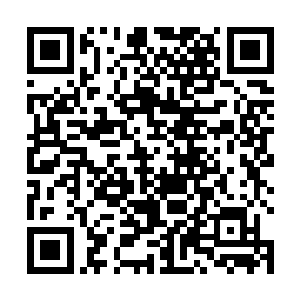 也是被打了一个措手不及的……等到他反应过来的时候二维码生成