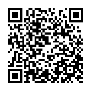 也是被这狂暴的一掌击退了……双腿站立在地面上二维码生成