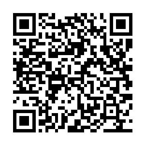 也是让得南方修士和东方修士隐隐有一股火药味充斥在其中二维码生成