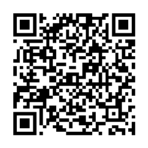 也是让得顾雪莲他们心头有着诸多疑惑还未曾解开二维码生成