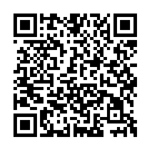 也是该收拾干净了…………那南来子是发配何处二维码生成