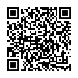 也是这些年来在生死边缘摸爬滚打总结出来的经验二维码生成