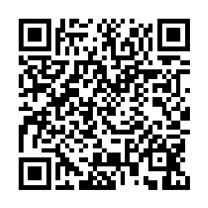 也是这次我们专门聘请来的白厚春白先生的外甥二维码生成