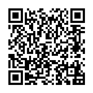 也是这般喜欢在她手上蹭啊蹭的……可是她现在长大了二维码生成