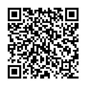 也是那吸血鬼亲王最终会选择接受欧阳明的命令出手的原因二维码生成