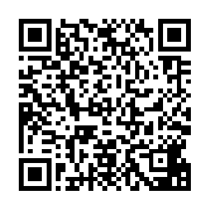 也是阮刑天现在想要戏耍他所以像猫逗老鼠一样逗着他玩二维码生成