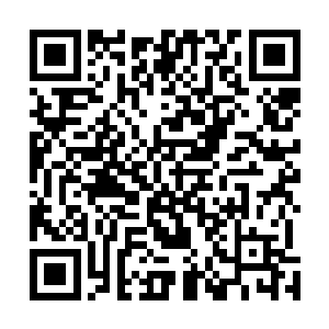 也是非常期待剑尘是真的能把这样的高人请来为黄家助阵二维码生成