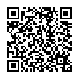 也是靠着另外两个从死人堆里爬出来的人带了他一起回来二维码生成