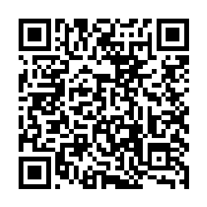 也是风景里的一部分――参加过上次对抗魔族的战争二维码生成