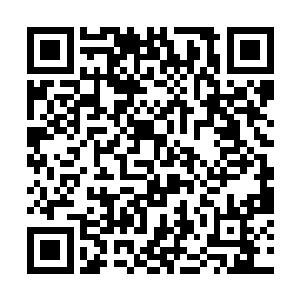 也显示不出这无极锁元阵的厉害和这灵鉴球的特殊了二维码生成