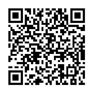 也暂时放下对那些追杀自己的异族天才们的浓烈杀机二维码生成