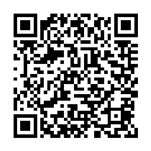 也暴露了他根本没有将那些仙人当成自己的子民二维码生成