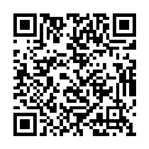 也曾在武魂山上研究过武魂一脉无法突破的秘密二维码生成