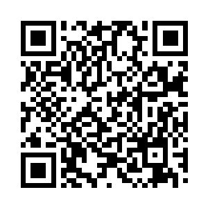 也曾经遭遇了一些人族或者兽族的小队二维码生成