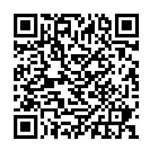 也有不少人认为那尸体本身也有可能是一件至宝二维码生成