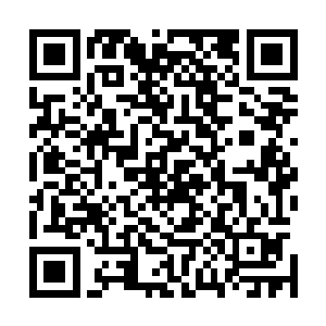 也有不少实力更强一些的人在一个人面对着那些地狱黑蜘蛛二维码生成