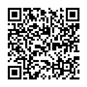 也有些搞不明白为什么茹姐要让这个新手参加大会二维码生成