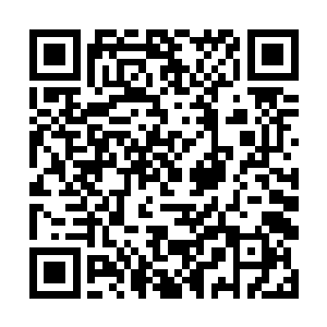 也有些纯粹是好奇残影蛇龙一族到底惹到了哪路高手二维码生成