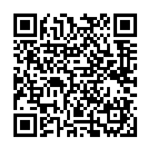 也有人声称他是苏尔特一系列恐怖袭击的幕后主使二维码生成