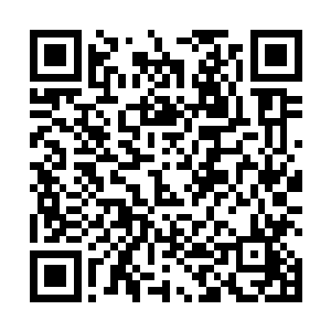 也有人怀疑这本夺魁的情爱小说是王林泉请人捉刀代笔二维码生成