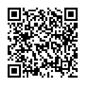 也有人把舆论引导到苏文不尊重其他作家的话题上二维码生成