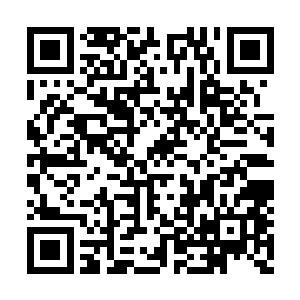 也有人说这才是妖僧南波改造南无星环境的原因二维码生成