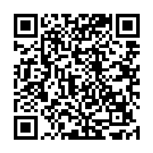 也有八大破空境的太上长老和四大丹田穴窍境无上长老二维码生成