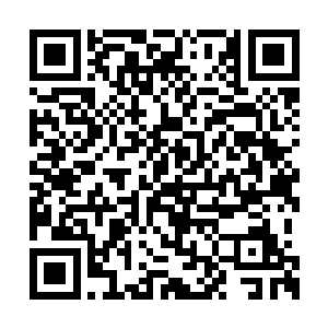 也有几分倾慕那种八风不动宠辱不惊的名士风范二维码生成