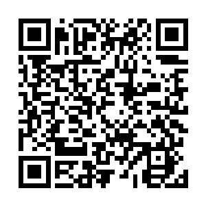 也有刚刚赢了钱的豪客抓着一把筹码往她们的内衣里面塞二维码生成