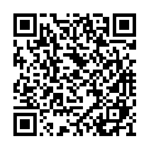 也有可能是悄无声息的进入了某个人的身体里面二维码生成