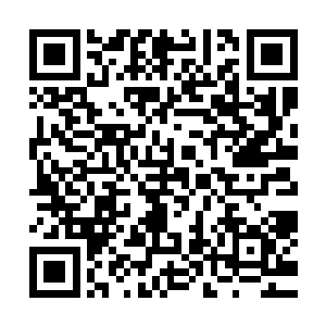 也有很大原因是两个入的心思都花在相互之间的拆台内耗去了二维码生成