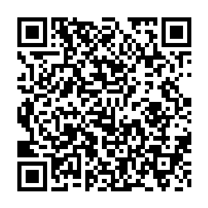 也有拿你的血液和那个男人的头发中提取出来的dna做过比对与结合二维码生成