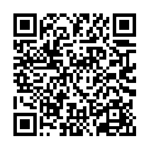 也有更多的时间去寻找提升修炼天赋的天材异宝二维码生成