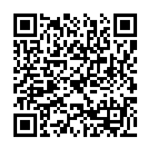 也有的修士因此深受重伤或者之间连境界都跌落了二维码生成