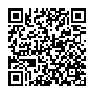 也有长着长长獠牙的巨大的足有两三米长的巨大蜥蜴二维码生成