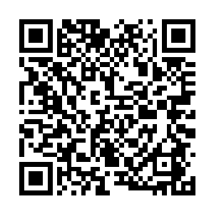 也未尝比得过当年的蔡京你说太子那边的意思如何二维码生成