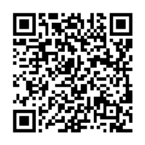 也未必能够像当年那样镇住这只已经完全不同的泼猴二维码生成